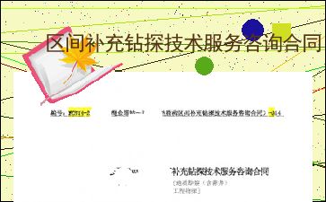 区间补充钻探技术服务咨询合同