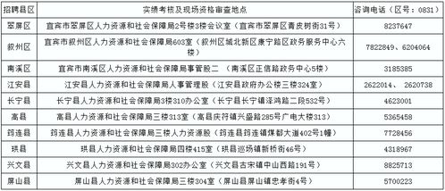 宜宾市人力资源和社会保障局2020年关于面向农民工公开考试招聘乡镇事业单位工作人员的公告