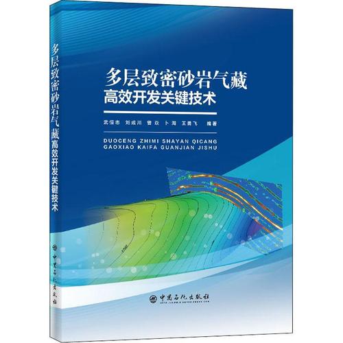 现货正版多层致密砂岩气藏开发关键技术(精)武恒志自然科学畅销书图书