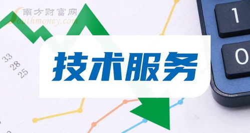 2024年 技术服务概念股票是哪些 利好什么股票 9月13日