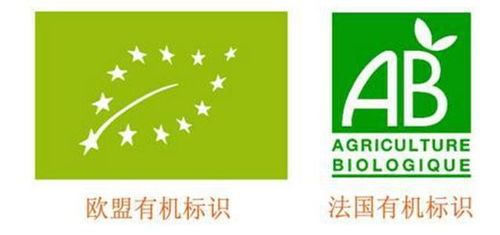 清河信息技术服务管理体系认证步骤