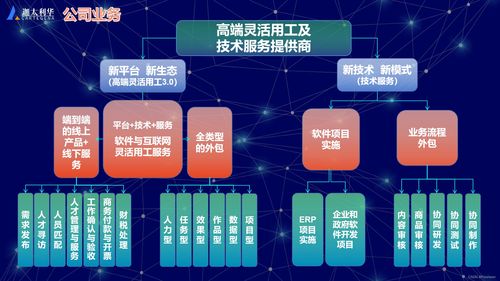 软件及互联网高端灵活用工与技术服务提供商