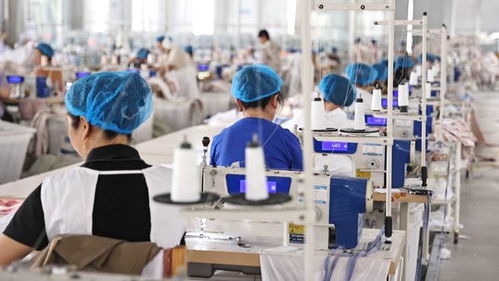 夏津 要素 服务 双轮驱动 为企业创新发展赋能