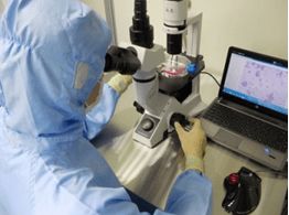 细胞技术服务与技术创新发展