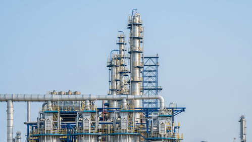 我国首次实现油转化技术交流 能源领域自主创新迈出坚实一步